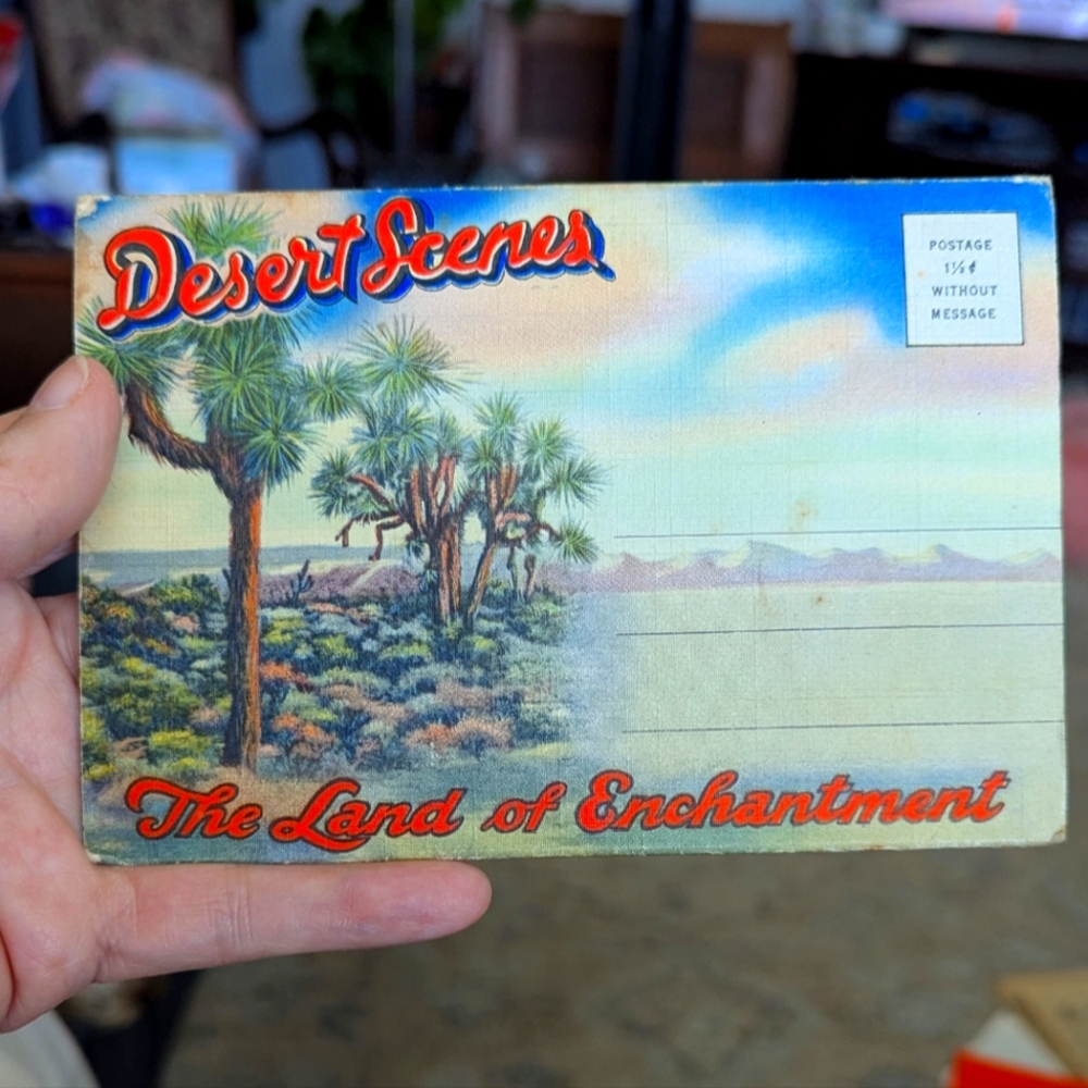 Desert Scenes Postcard The Land Of Enchantment
